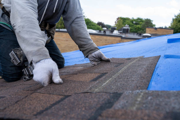 Best Roof Coating and Sealing  in Fanning Springs, FL