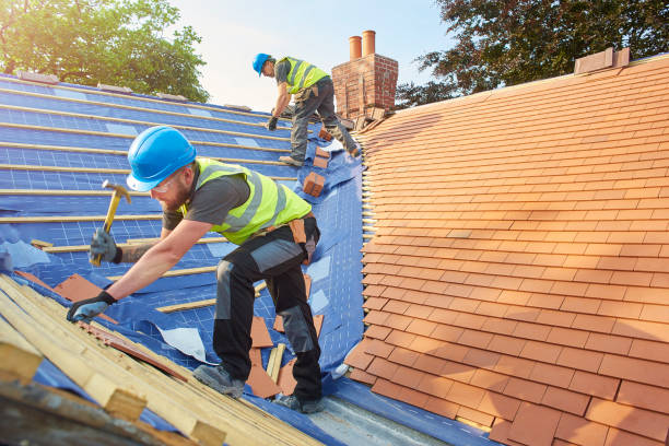 Best Rubber Roofing (EPDM, TPO)  in Fanning Springs, FL